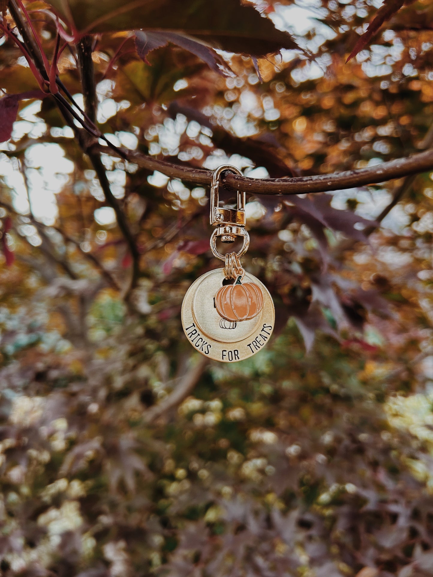 Pumpkin Charm Add-On